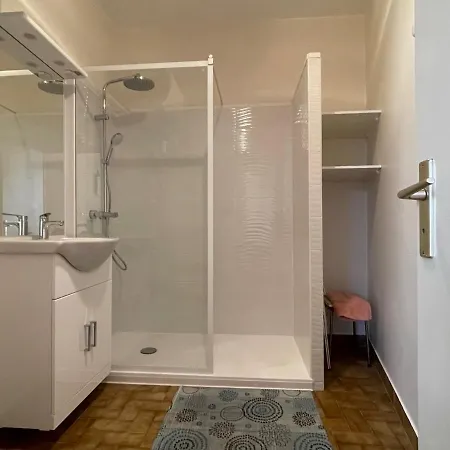 Spacieux Au Centre-ville Avec Ascenseur Et Animaux Acceptes - Fr-1-555-79 Apartment Aix-les-Bains