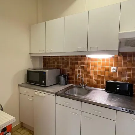 Spacieux Centre Aix-les-bains, Animaux Acceptés - Fr-1-555-79 Appartement
